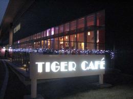 Tiger Cafe  ʥ ե